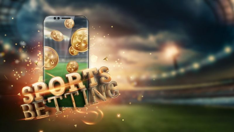 The Best Online Sports Betting Providers in New Zealand